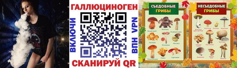 Галлюциногенные грибы мухоморы  Купить  Иркутск 